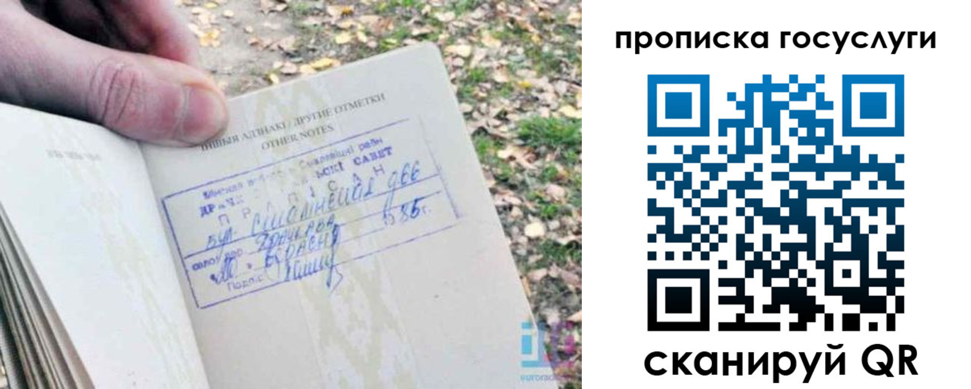 временная регистрация собственник в Волхове